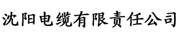 幻欲后宫风流录电缆厂logo